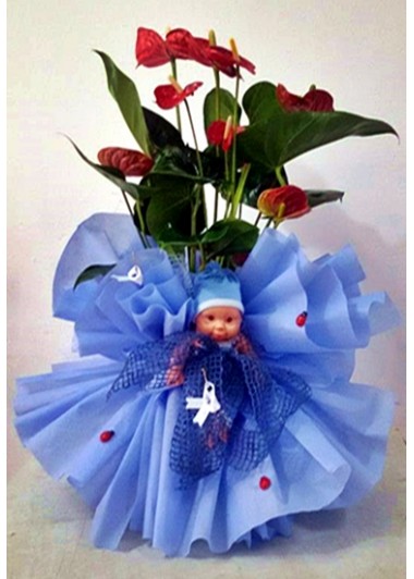 Bebek 17